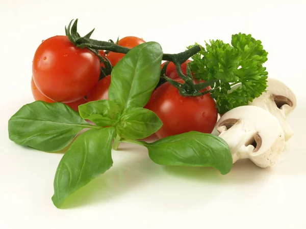 Tomatoes with basil, isolated — Stock Photo, Image