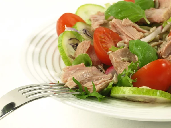 Tuna salad with tomatoes on isolated background — Stock Photo, Image