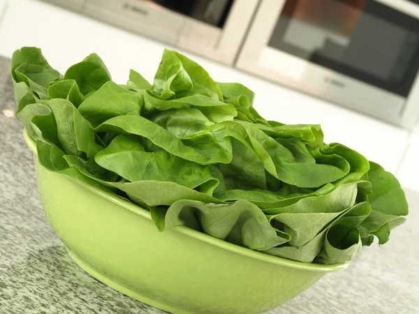 Foglie di spinaci — Foto Stock