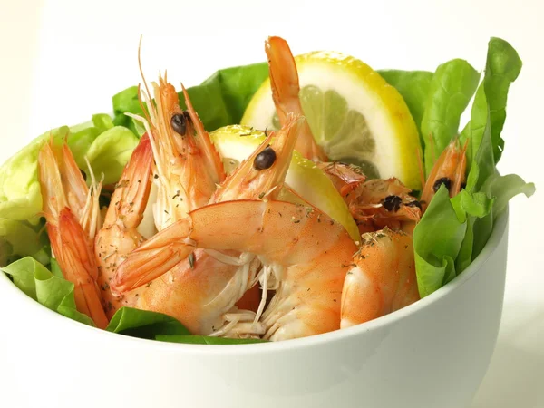 Shrimp appetizer, isolated — Stock Photo, Image