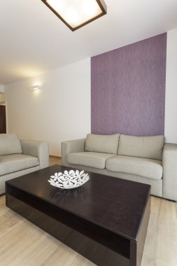 Cosy düz - oturma odası