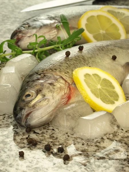 Trout for preparation, closeup — Stock Photo, Image