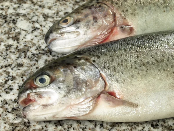 Two trouts, closeup — Stock Photo, Image