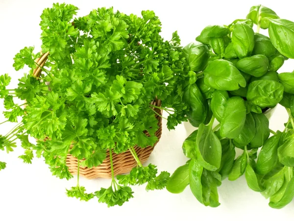 Fresh herbs, isolated — Stock Photo, Image