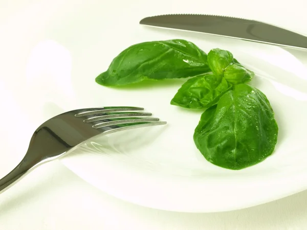 Basil leaves, isolated — Stock Photo, Image