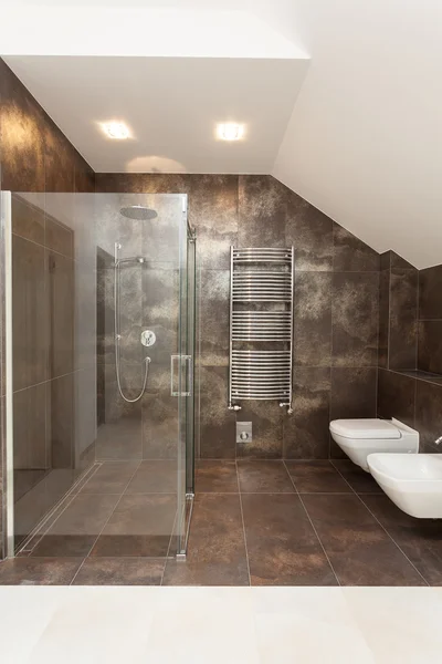 Dusche, WC und Bidet — Stockfoto