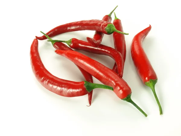 Vörös chili — Stock Fotó