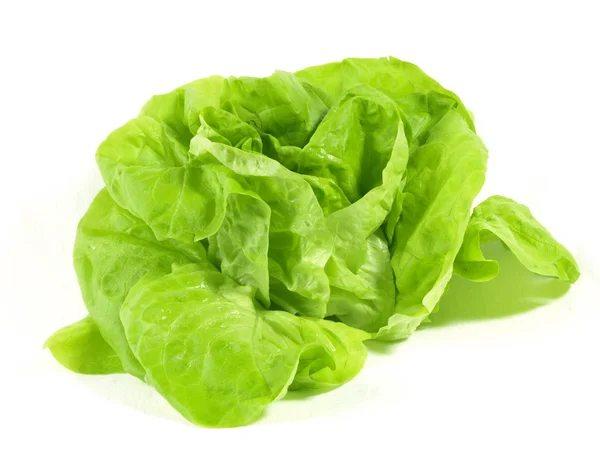 Зеленый салат на изолированном фоне — стоковое фото