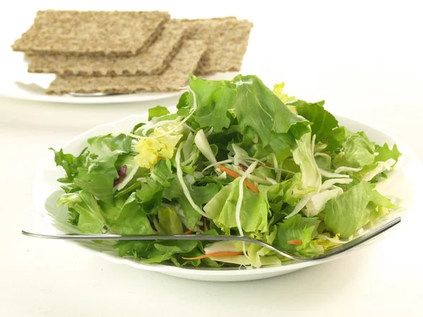 Lettuce snack — Stock Photo, Image