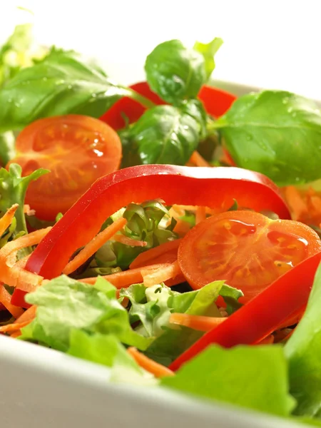 Vegetarisk Sallad — Stockfoto