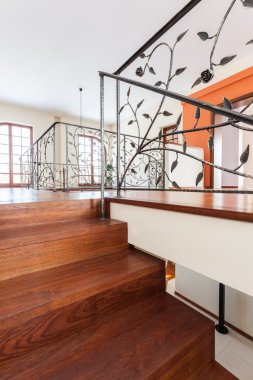 klas house - zarif merdiven