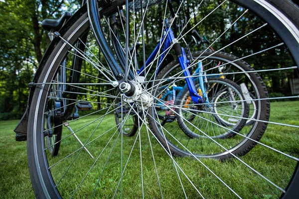 Fahrradspeichen — Stockfoto