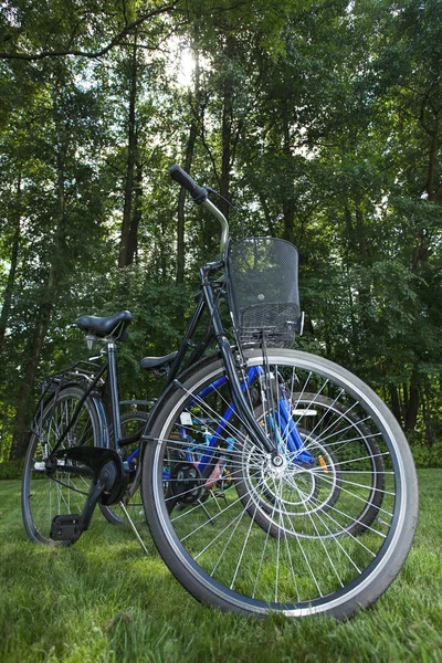 Mehrere Fahrräder — Stockfoto