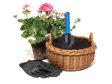 bahçıvanlık, izole