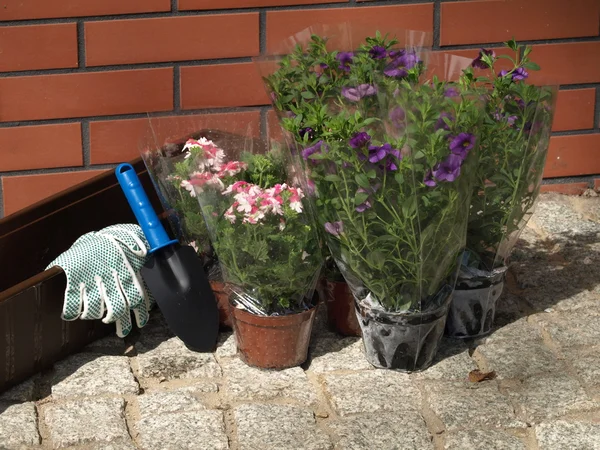 Gardener's equipment — Stock Photo, Image