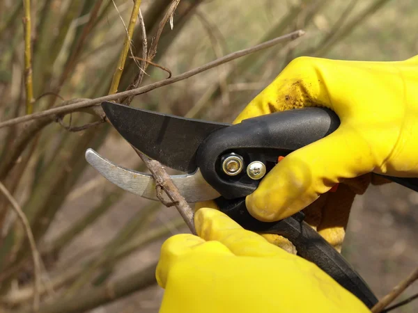 Spring garden work — Stock Photo, Image