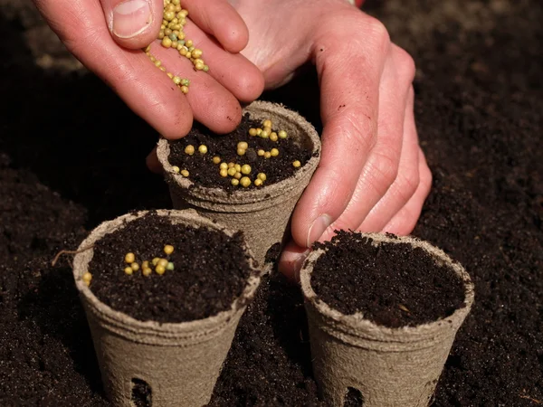 Potten met grond — Stockfoto