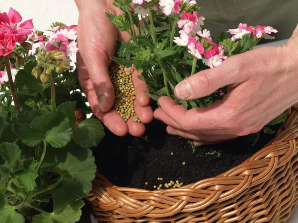 Fertilizing — Stock Photo, Image