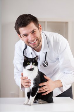 Masanın üzerinde kedi ile veteriner