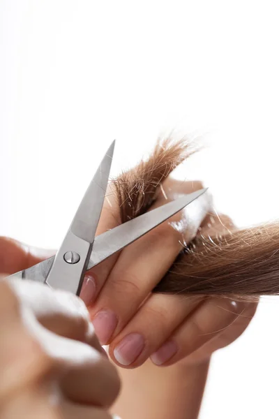 Hairdresser cutting hair — Stock Photo, Image