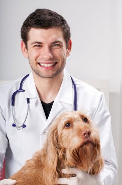 erkek veteriner ve güzel köpek