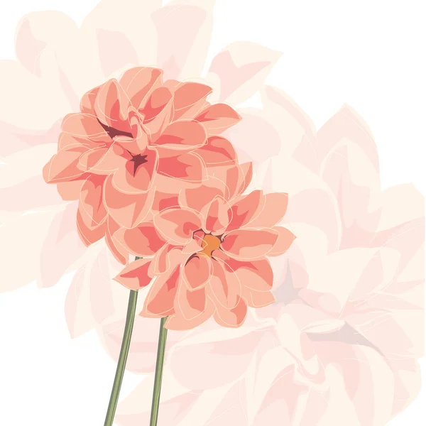 Vector background with flower — Stock Vector