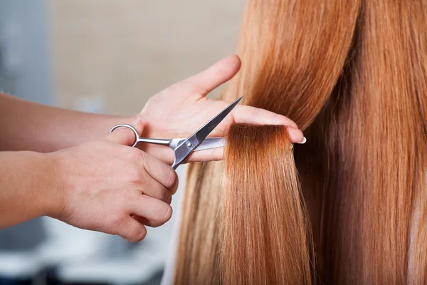 Hairdresser cutting hair — Stock Photo, Image