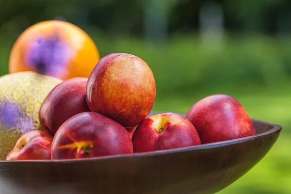 Fruits d'été — Photo