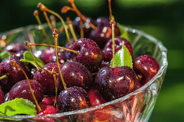 Gezonde zomer snacks — Stockfoto