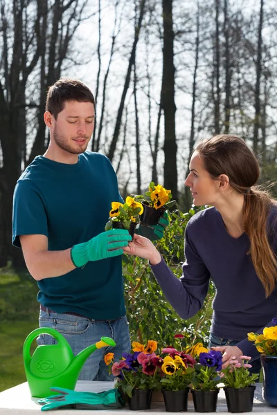 Tuinders planten van bloemen — Stockfoto