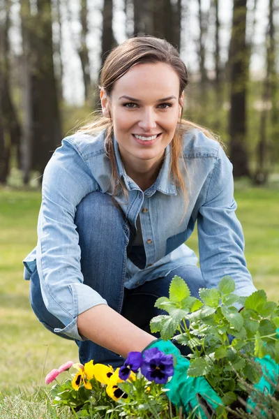 Gardener with mint — Stock Photo, Image