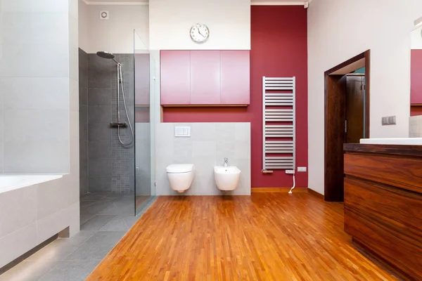 Modern banyo iç mimarisi — Stok fotoğraf