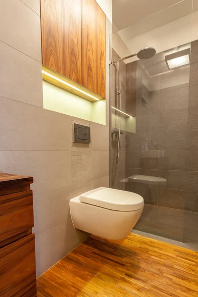 Toilet with shower — Stock Photo, Image