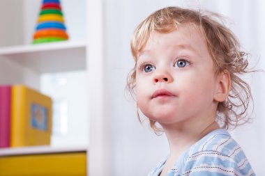 Tatlı bir çocuğun portresi.