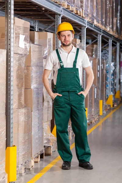 Warehouseman de pé em armazenamento — Fotografia de Stock