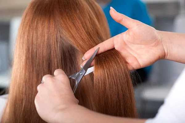Hairdresser is cutting customer hair — Stock Photo, Image