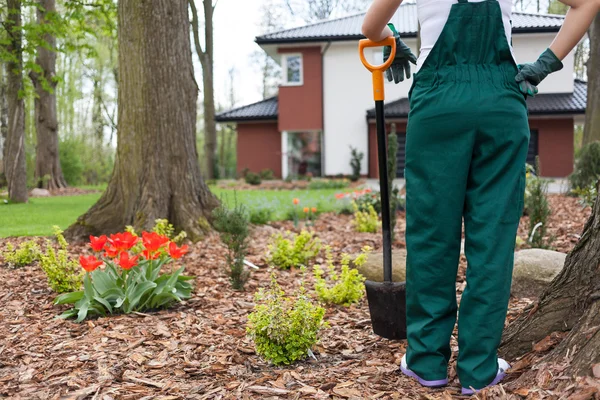 Σκάβοντας flowerbeds γυναίκα — Φωτογραφία Αρχείου