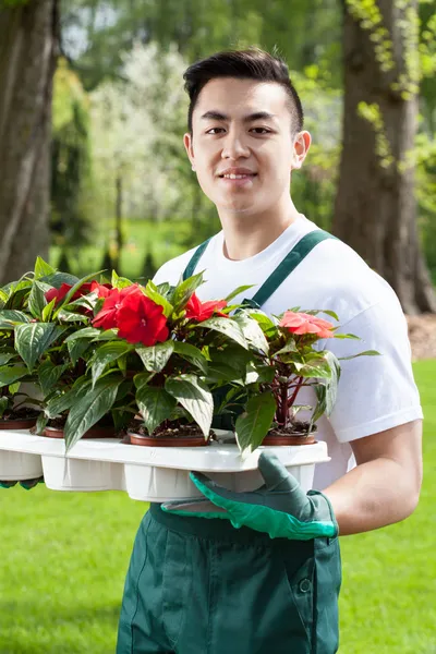 Jardineiro asiático com plantas — Fotografia de Stock