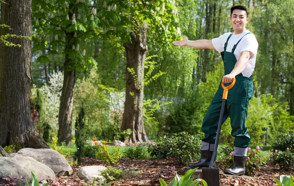 Trädgårdsmästare i vacker trädgård — Stockfoto