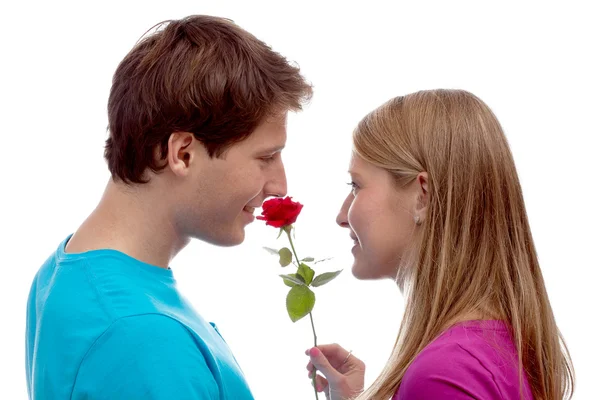 Casal com a rosa — Fotografia de Stock