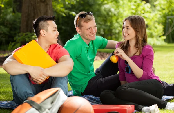 Vrienden in park spelen hookey — Stockfoto