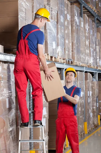 Ladenbesitzer während der Arbeit — Stockfoto