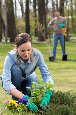 Bahçe yaz için hazırlanıyor