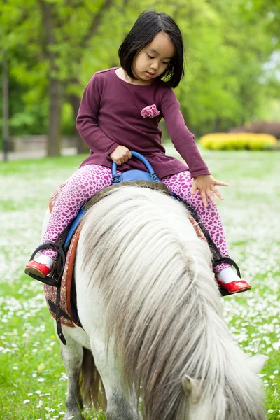 Menina em um cavalo branco — Fotografia de Stock