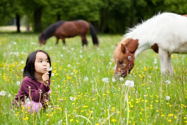 Liten asiatisk flicka i parken och hästar — Stockfoto