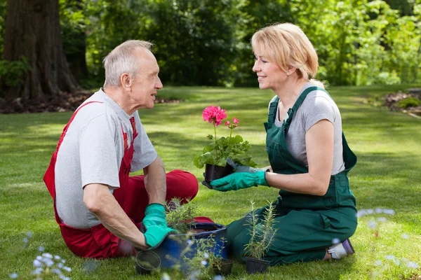 Married couple talking in the garden — Stock Photo, Image