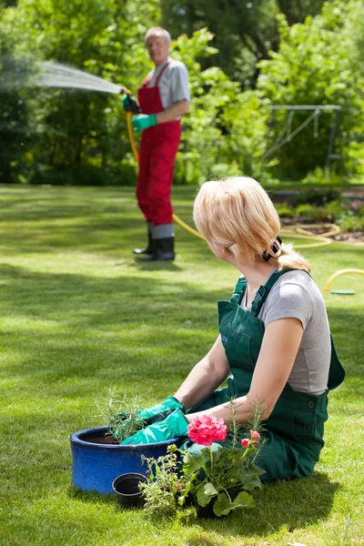 Człowiek, podlewanie trawnika, podczas gdy jego żona dbając o kwiaty — Zdjęcie stockowe
