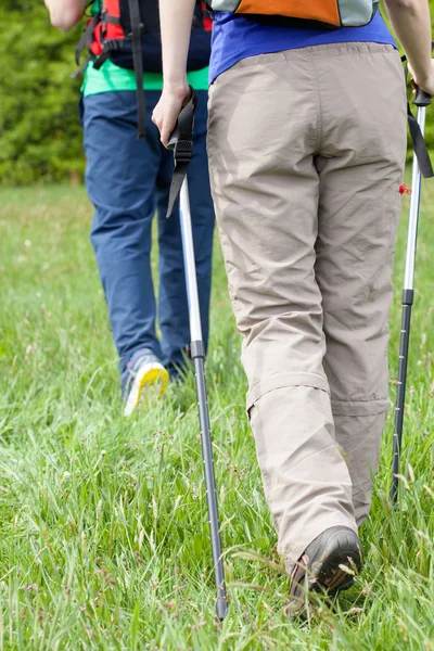 Par promenader på en äng — Stockfoto