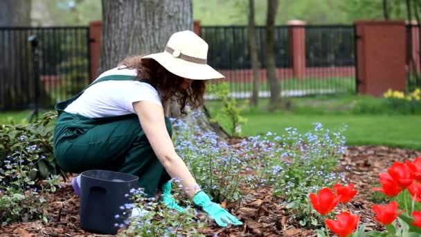 Vrouw in de tuin — Stockvideo