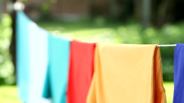 Πλύσιμο ρούχων στο μυελό — Αρχείο Βίντεο